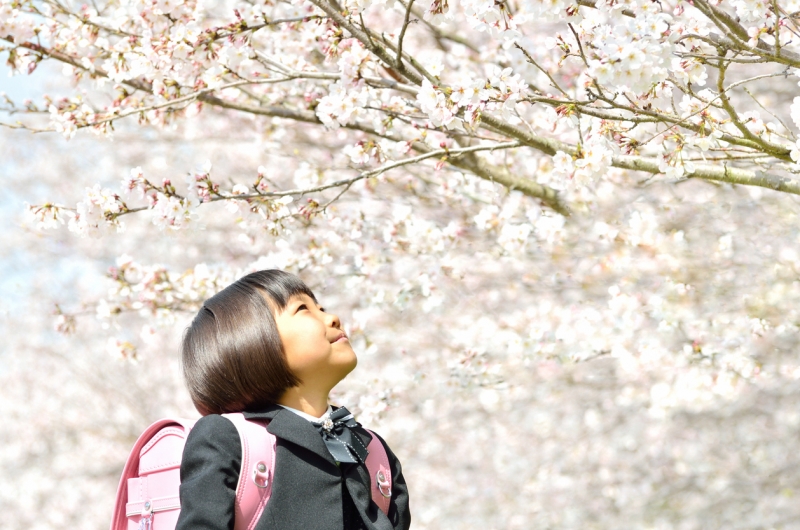 入園・入学祝いで株が激アゲ！？まだ間に合うお祝い絵本とは…